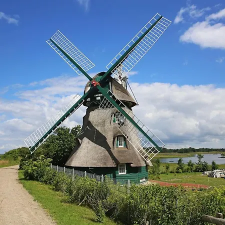 Puehler - Buchfink * Kronsgaard