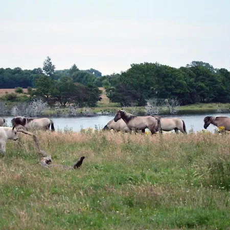 Puehler - Buchfink 公寓