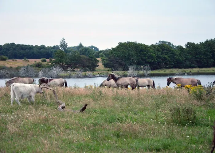 Puehler - Buchfink 아파트